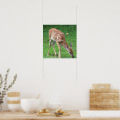Herten Foto Poster (Keuken)