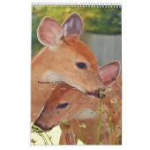 Herten fotoboek kalender2 kalender (Feb 2027)