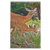 Herten fotoboek kalender2 kalender (Mar 2027)