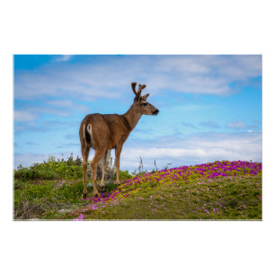 Herten Glanzende Poster Kust Wilde Bloemen Scene