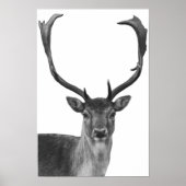 Herten Hert Zwart Wit Blokhut Stijl Poster (Voorkant)