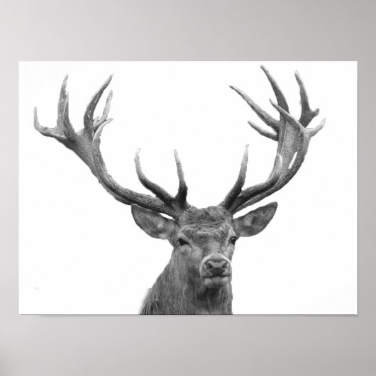 Herten Hert Zwart Wit Houten Stijl Modern Poster (Voorkant)