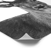 Herten Hert Zwart Witte Houten Stijl Poster (Hoek)