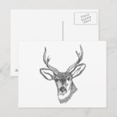 Herten hoofd schets briefkaart (Voorkant / Achterkant)