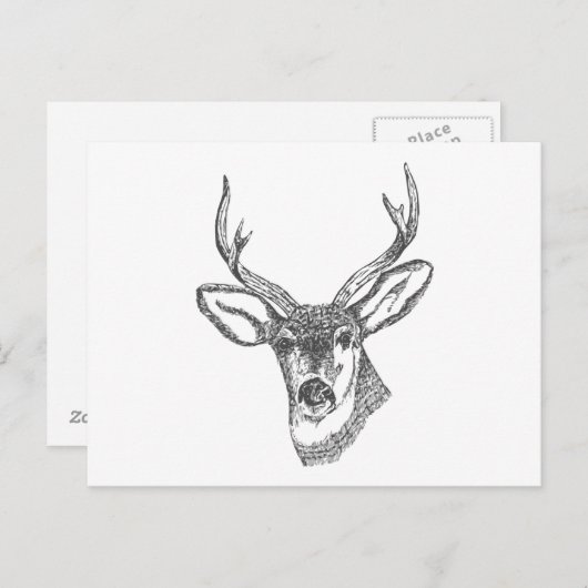 Herten hoofd schets briefkaart (Voorkant / Achterkant)