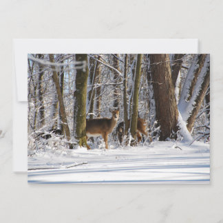 Herten in besneeuwde Eagle Creek City Park Feestdagenkaart