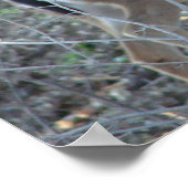 Herten in Bossen - Selecteer uw Lijst Poster (Hoek)