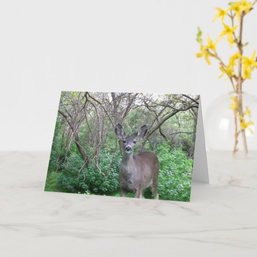 Herten in Bossen worden snel gezond Kaart (Gele Bloem)