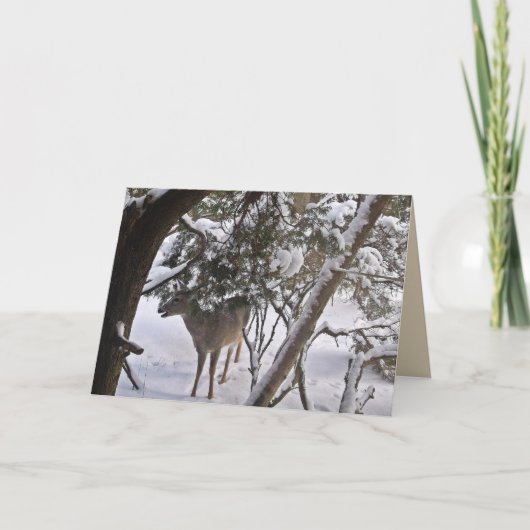 Herten in de bossen Foto kaart of notitie (Voorkant)