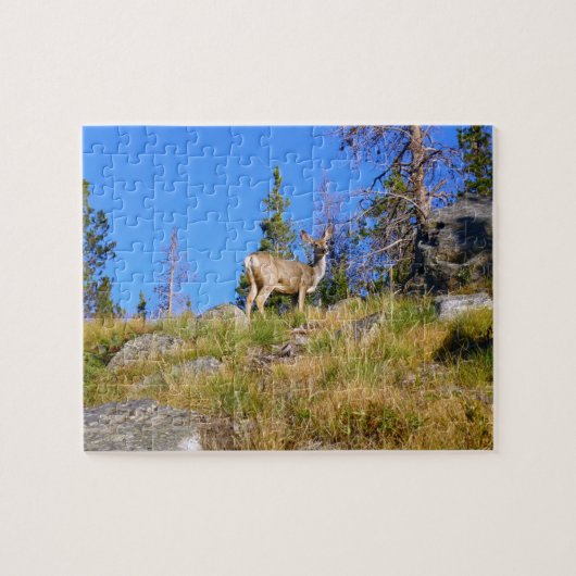 Herten in de Rocky Mountains Legpuzzel (Horizontaal)