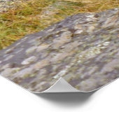 Herten in de Rocky Mountains Poster (Hoek)