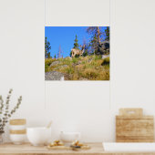 Herten in de Rocky Mountains Poster (Keuken)