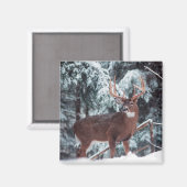 Herten in de sneeuwmagneet magneet (Voorkant / Achterkant)