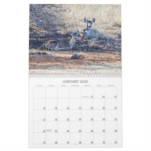 Herten in de wilde fotografische kalender (Jan 2026)