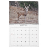 Herten in de wilde fotografische kalender (Mar 2026)