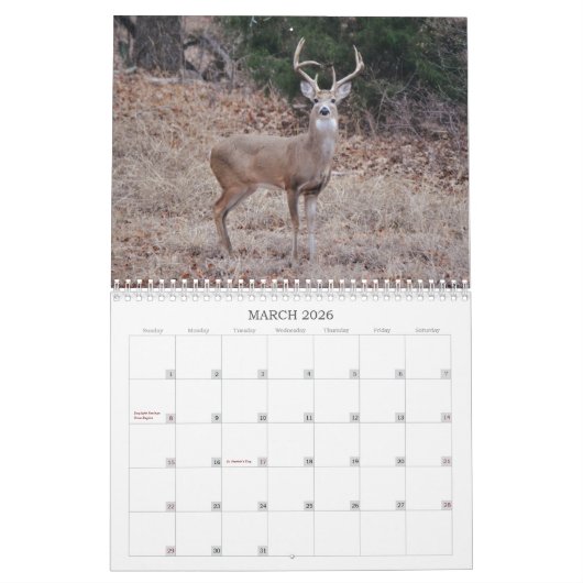 Herten in de wilde fotografische kalender (Mar 2026)