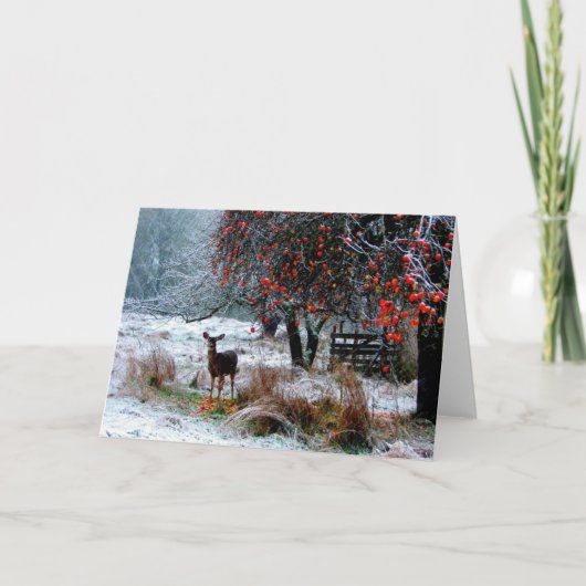 Herten in de winter feestdagen kaart (Voorkant)