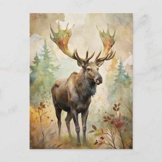 Herten in een bos briefkaart (Voorkant)