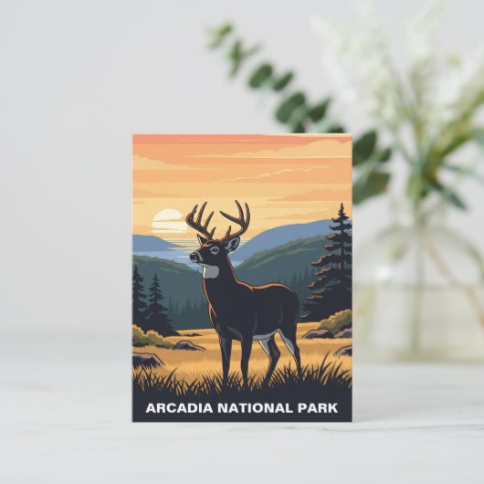 Herten in het Arcadia National Park Briefkaart (Staand voorkant)
