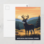 Herten in het Arcadia National Park Briefkaart (Voorkant / Achterkant)