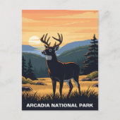 Herten in het Arcadia National Park Briefkaart (Voorkant)