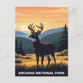 Herten in het Arcadia National Park Briefkaart
