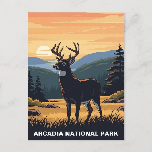 Herten in het Arcadia National Park Briefkaart (Voorkant)
