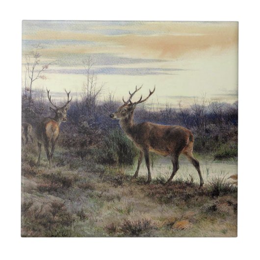 Herten in het bos bij Fontainebleau (Rosa Bonheur) Tegeltje (Voorkant)