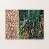 Herten in het bos, Oregon Legpuzzel (Horizontaal)