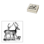 Herten in het bos Rubberstempel (Gestempeld)