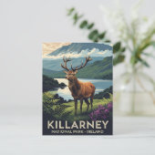 Herten in Killarney National Park Ierland Reizen Briefkaart (Staand voorkant)