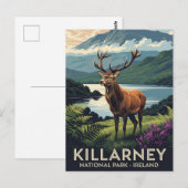 Herten in Killarney National Park Ierland Reizen Briefkaart (Voorkant / Achterkant)