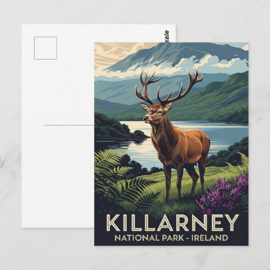 Herten in Killarney National Park Ierland Reizen Briefkaart (Voorkant / Achterkant)