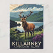 Herten in Killarney National Park Ierland Reizen Briefkaart (Voorkant)