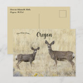 Herten in Klamath Falls Oregon VS Briefkaart (Voorkant / Achterkant)