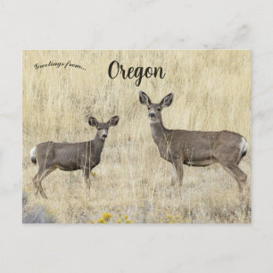 Herten in Klamath Falls Oregon VS Briefkaart