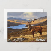 Herten in Schotland Reizen Briefkaart (Voorkant / Achterkant)