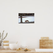 Herten in Sneeuw Foto Poster (Keuken)