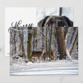 Herten in Snowy Eagle Creek City Park Feestdagenkaart (Voorkant / Achterkant)