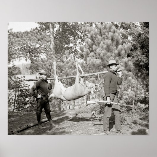 Herten jagen, 1902. Oude foto Poster (Voorkant)