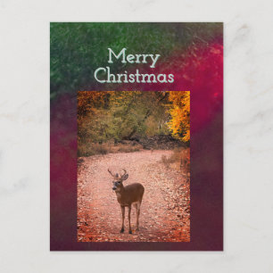 Herten Kerst Ansichtkaart Briefkaart