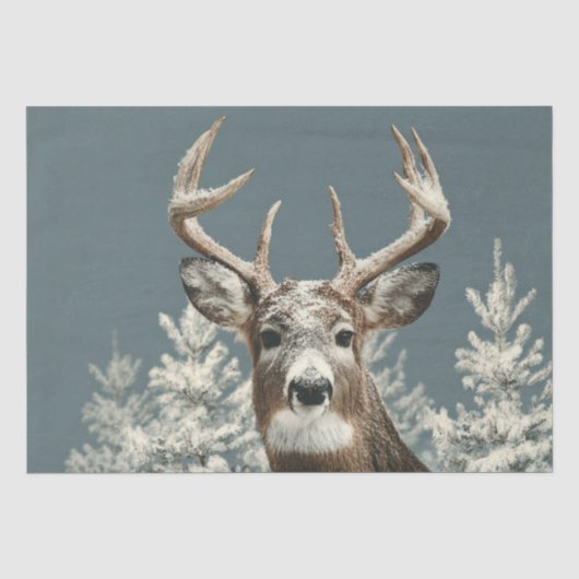 Herten Kerst Tissuepapier, Tissuepapier (Voorkant)