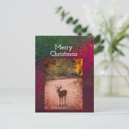 Herten Kerstkaart Briefkaart (Staand voorkant)