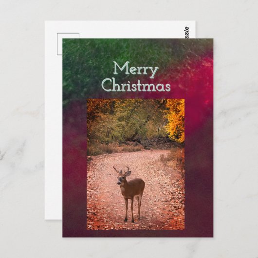 Herten Kerstkaart Briefkaart (Voorkant / Achterkant)