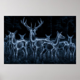 Herten kudde nacht X-Ray Poster