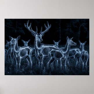 Herten kudde nacht X-Ray Poster