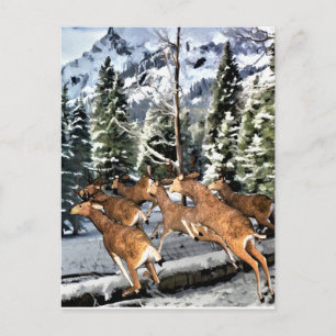 Herten kudde rennen in Rocky Mountains Briefkaart