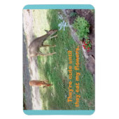 Herten Leuk Tot Eet Bloemen Horizontaal 4x6 Magnee Magneet (Verticaal)