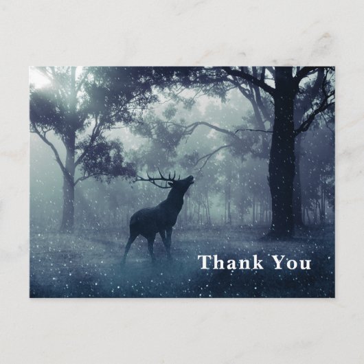 Herten met gewei in Shadowy Forest Dank u Briefkaart (Voorkant)