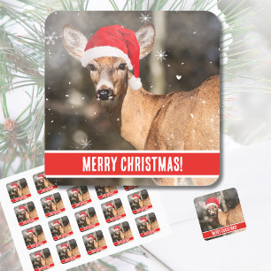Herten met kerst Pet in de Sneeuw Whimsical Vierkante Sticker
